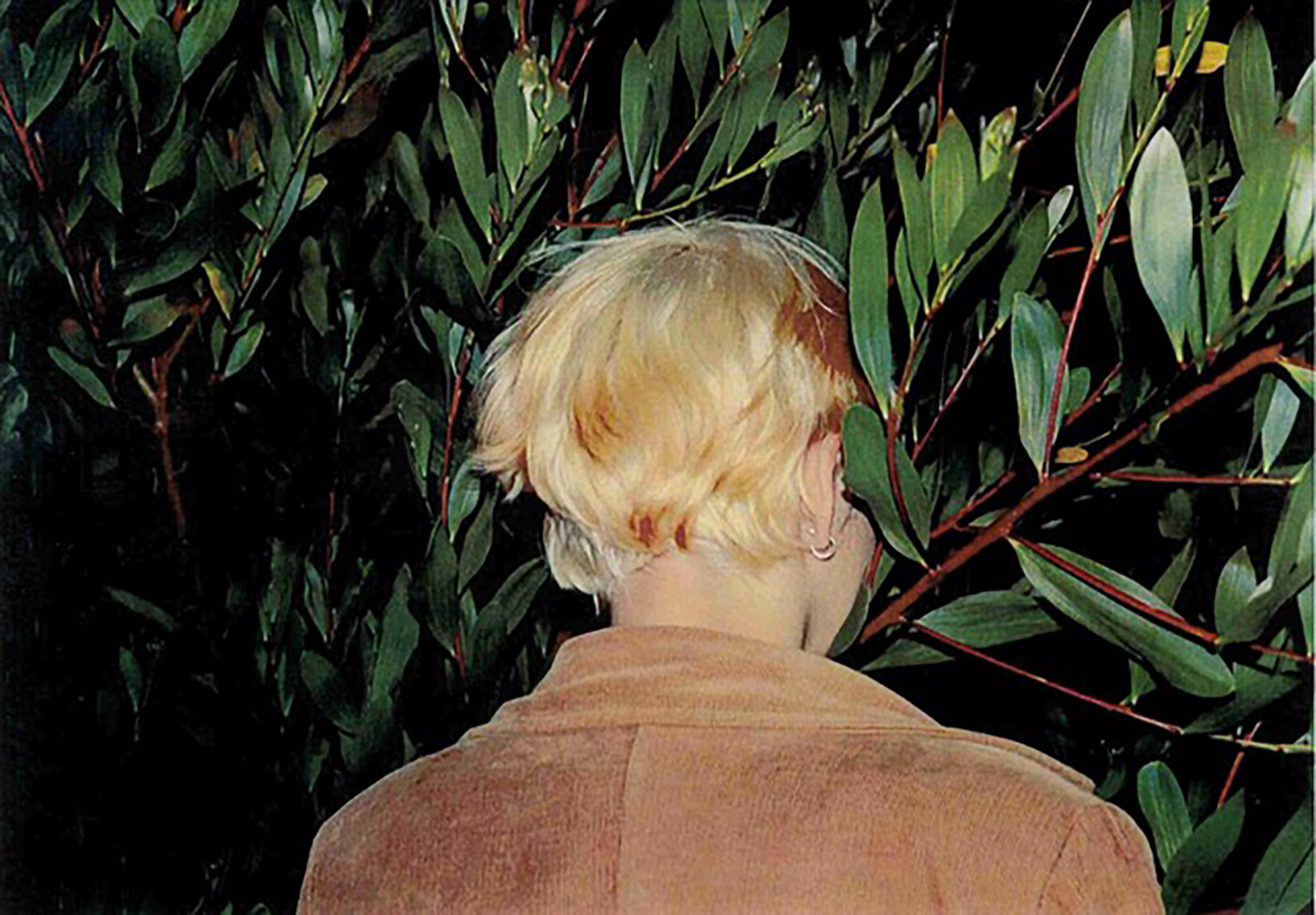 Manual of Resistance for 2050