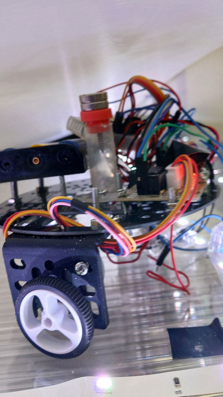 Unstable Cartography: Marginal Ecologies