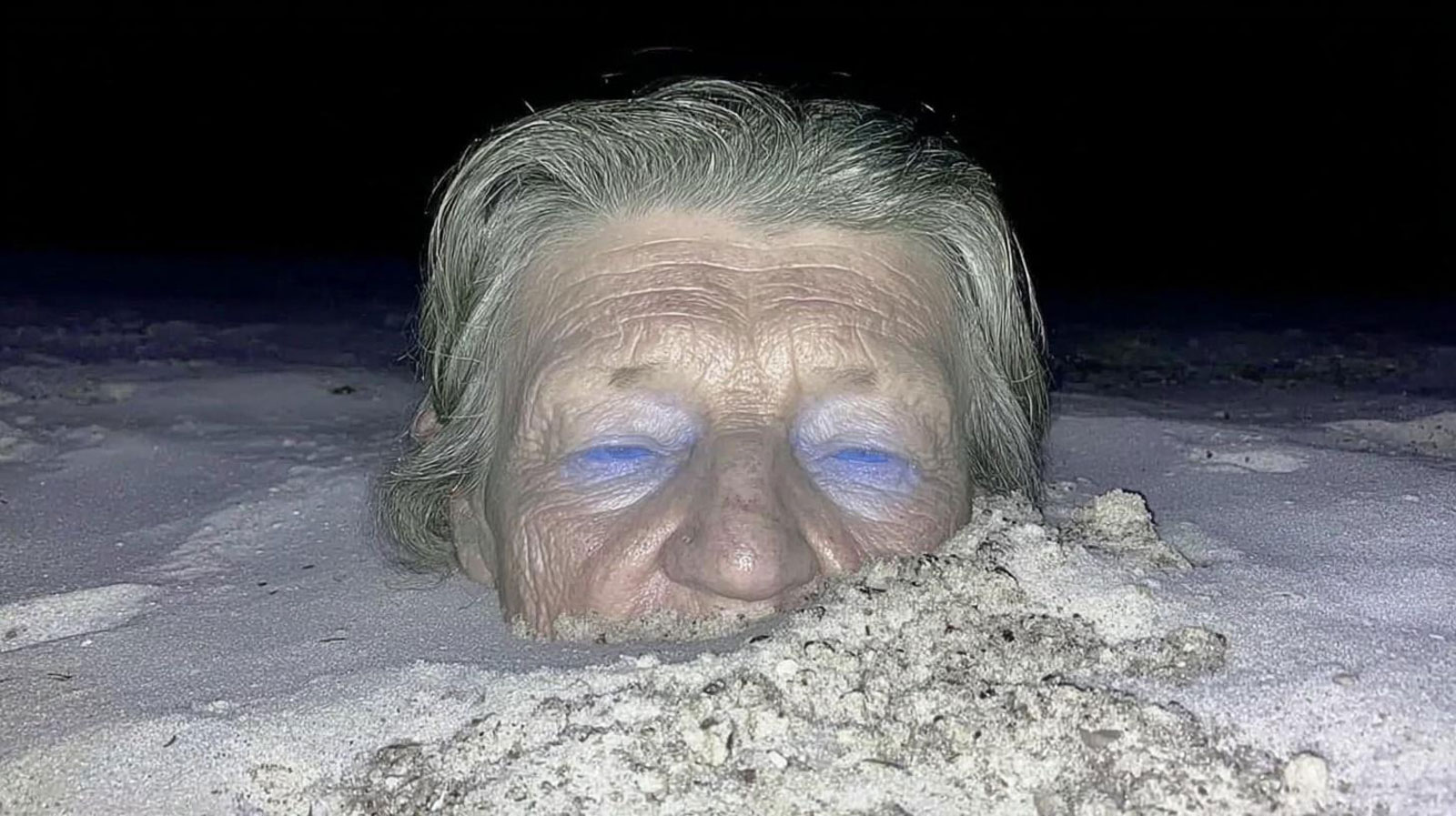 The Jellyfish Hunters and the Newborn Old Men 