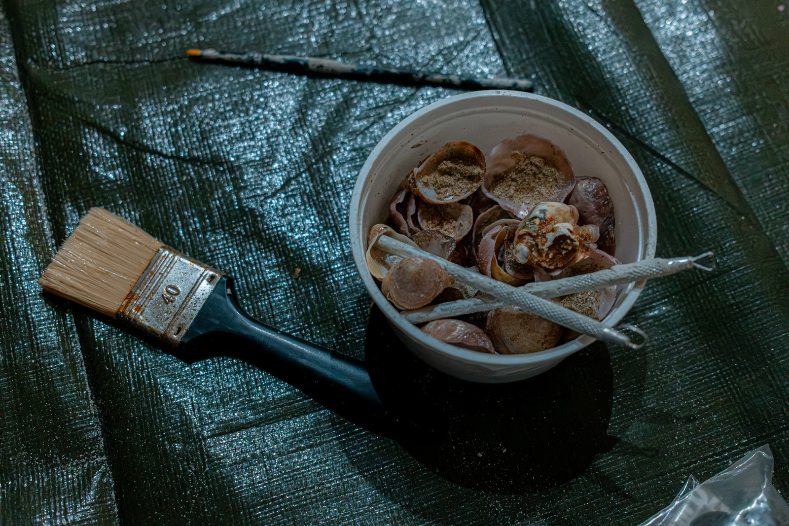 Descrição da Imagem